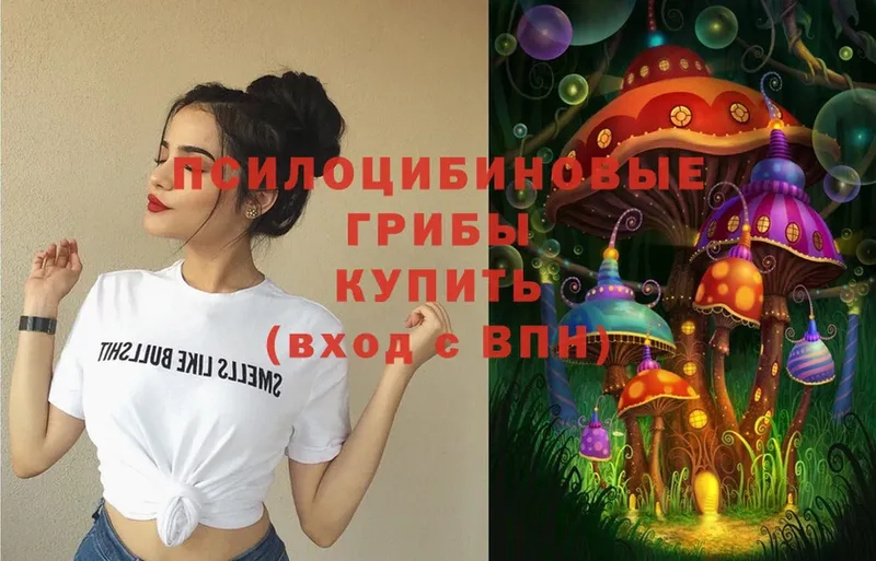 как найти   Нестеровская  сайты даркнета формула  Псилоцибиновые грибы Magic Shrooms  KRAKEN рабочий сайт 